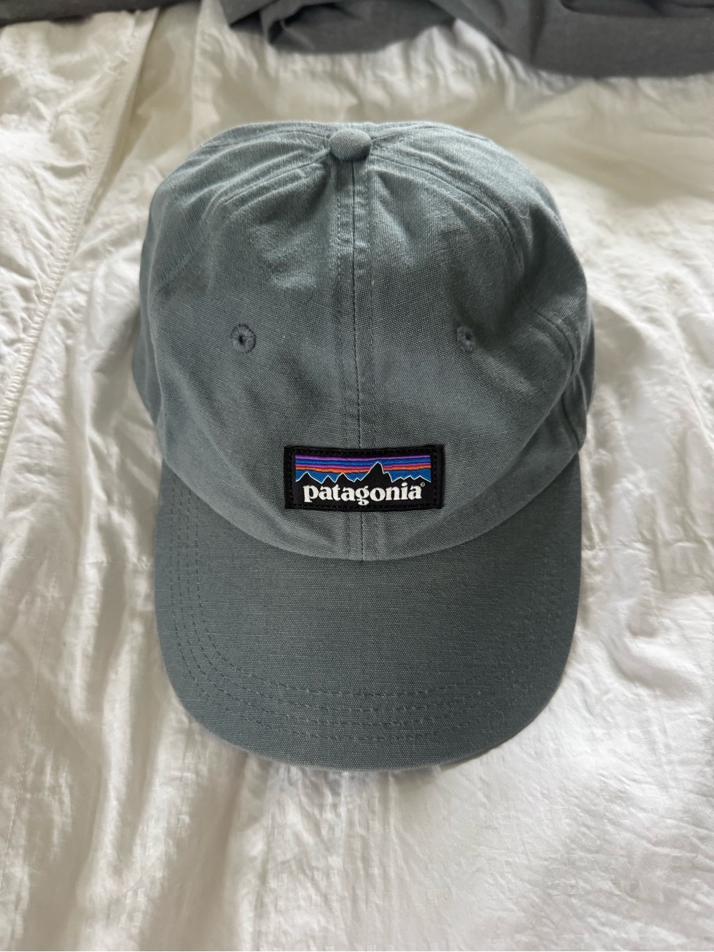 Patagonia Slate Green Logo Baseball Cap